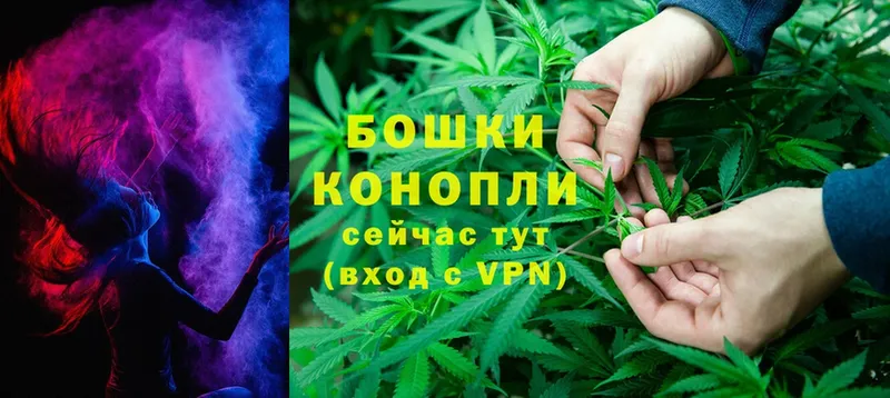 kraken   Кола  Шишки марихуана THC 21% 